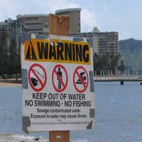 Marketing Sanitation