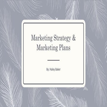Marketing strategy & marketing plans