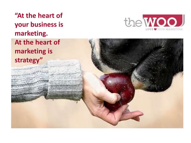 Marketing strategy workshop