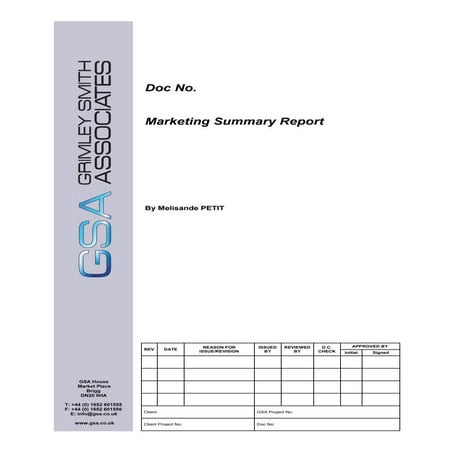 Marketing Summary Report