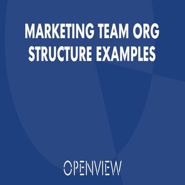 Marketing Team Organizational Structures