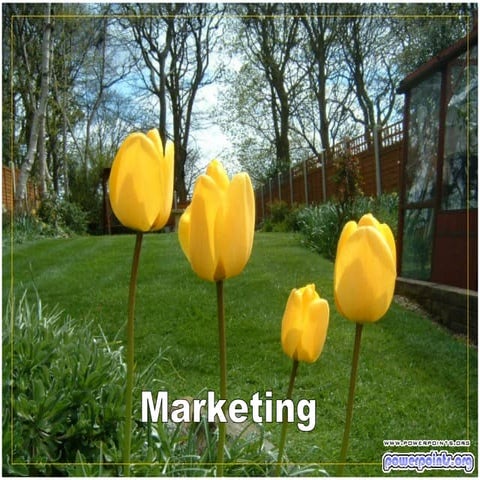 Marketing Y Actitud 3217 Ca