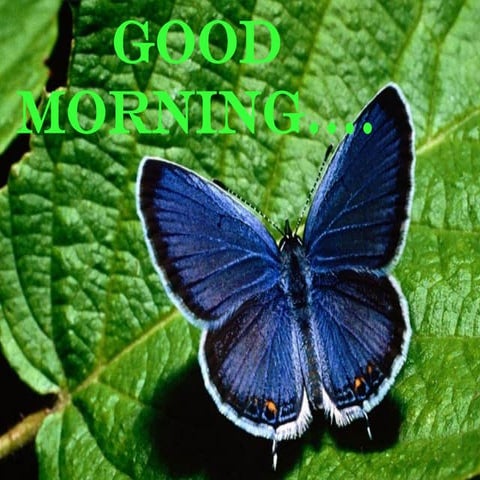 Economics: Market Market Structure Final.ppsx