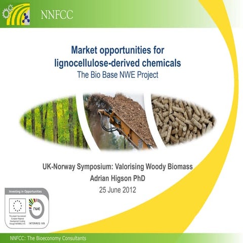 Developing bio based products | PDF