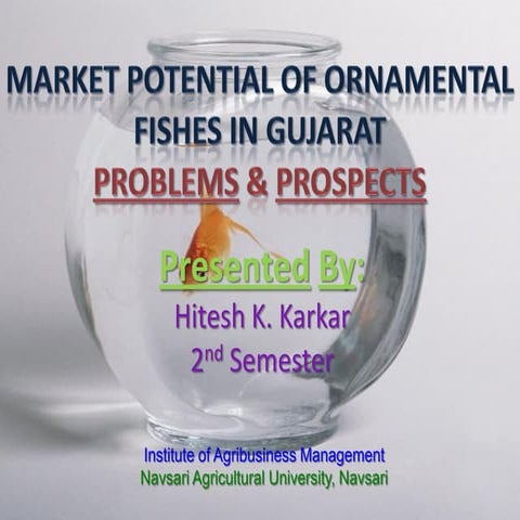 Market Potential Of Ornamental Fishes In Gujarat(Problems & Prospects)