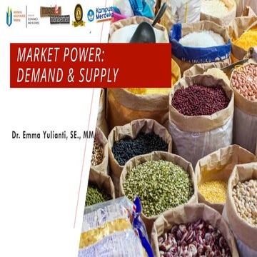 Comprehensive Analysis of Market Power: Demand, Supply, and Equilibrium ...