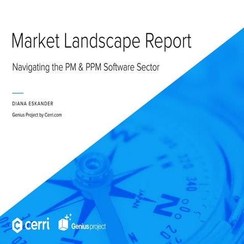 Market Landscape Report: Navigating the PM & PPM Software Sector