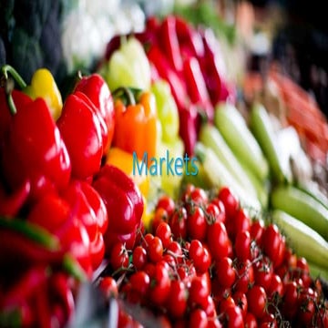 Perfectly Competitive Market: Basic Concepts and Assumptions