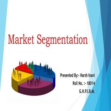 Levels and Pattern of Market Segmentation | PPTX
