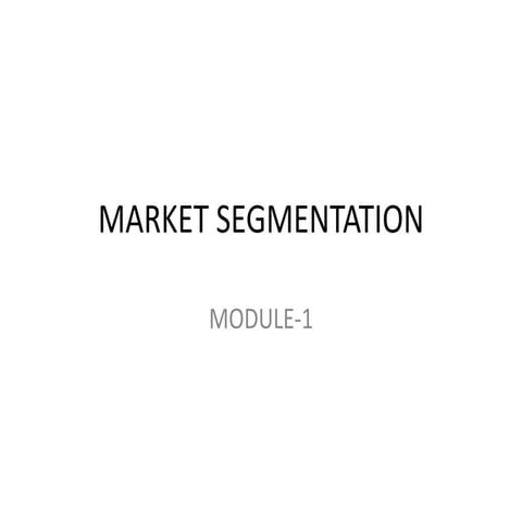 Market Segmentation.pptx