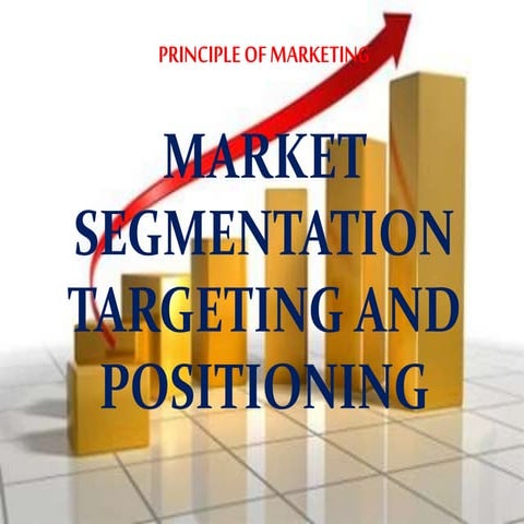 Market segmentation targeting and positioning