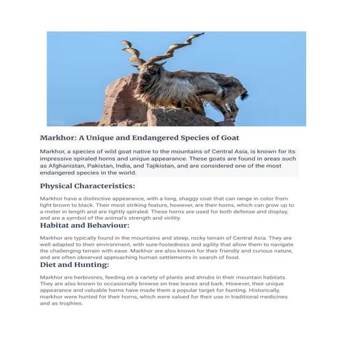 Markhor_ A Unique and Endangered Species of Goat.pdf