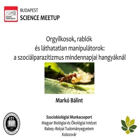 BpSM 2015.03. - Markó Bálint: A szociálparazitizmus mindennapjai hangyáknál