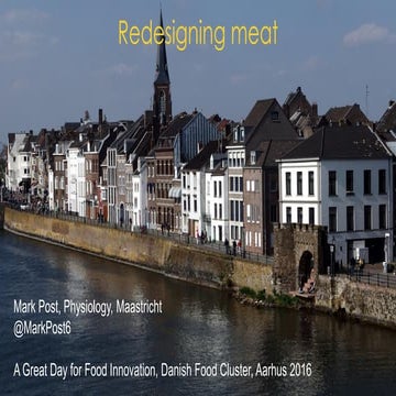 Mark Post - Maastricht University | PDF