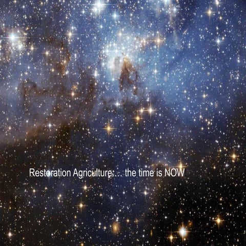 Mark shepard restoration agriculture 