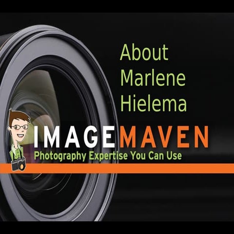 About Marlene Hielema - ImageMaven - 2014