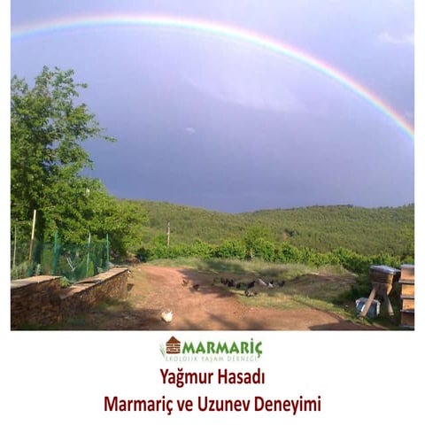 Yağmur Suyu Hasadı, Oya Ayman, Marmariç Ekolojik Yaşam Derneği