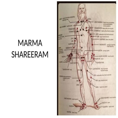 MARMA SHAREERAM for BAms ayurvedic students