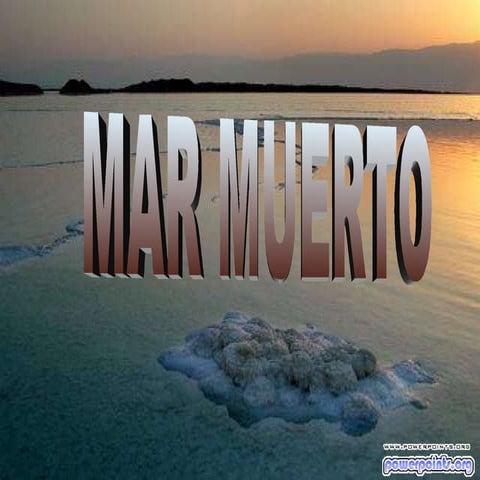 El mar muerto-geo2 | DOCX