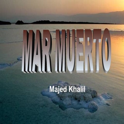 El mar muerto | PPTX