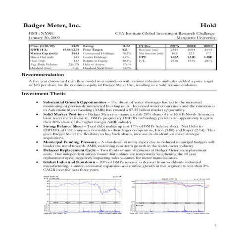 Marquette Bmi Report