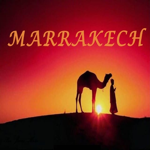 Marrakech y su gran contraste de colores 