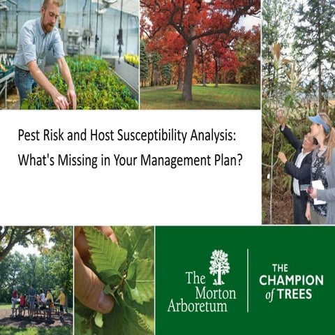Community Tree Risk Assessment: What's Missing in Your Management Plan?