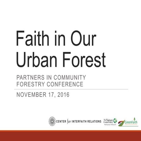 Faith in Our Urban Forest