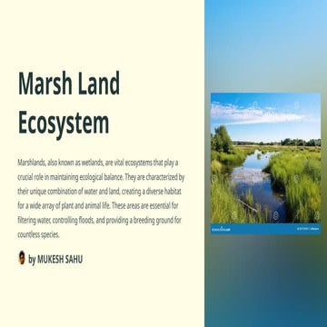Power point presentation Marsh-Land-Ecosystem.pptx