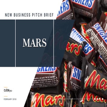Mars Pitch Brief