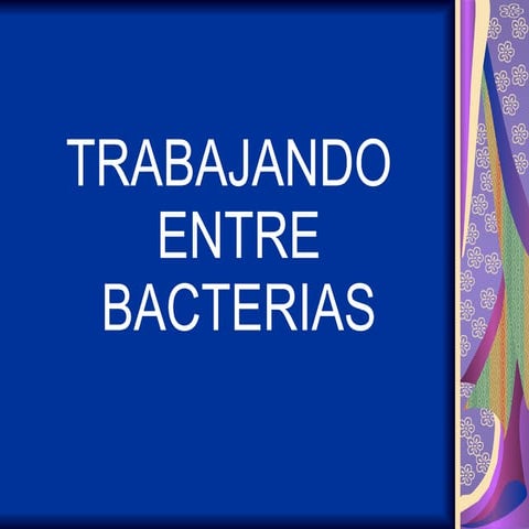 Trabajando entre bacterias