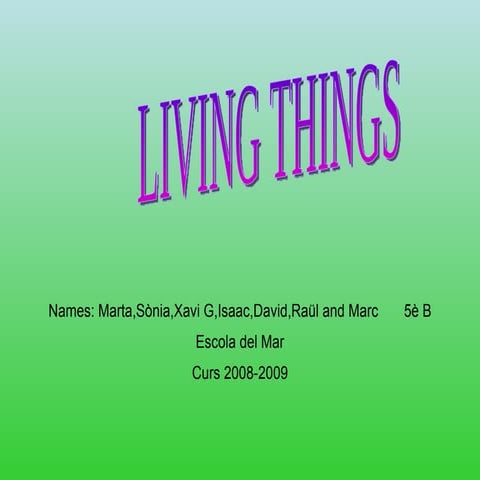 Marta, Sònia, Xavi  G, Isaac, David, Raül, Marc