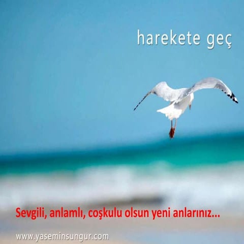 Martı Dergisi "hayata gülümse" 31 aralık