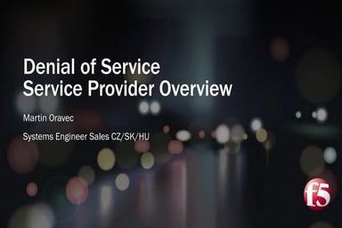 Denial of Service - Service Provider Overview
