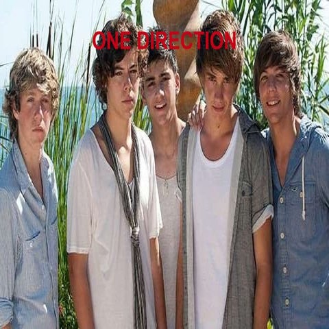 One direction infografia | ODP