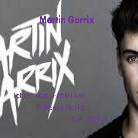 Martin garrix