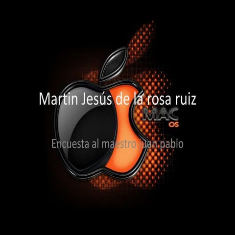 Martin jesús de la rosa ruiz