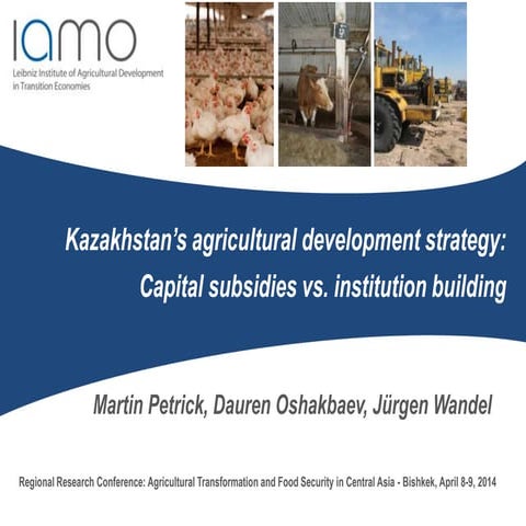 Kazakhstan’s agricultural development strategy: Capital subsidies vs ...
