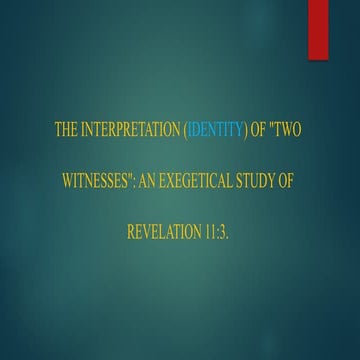 MARTINS PRESENTATION ON 2 WITNESSES.pptx