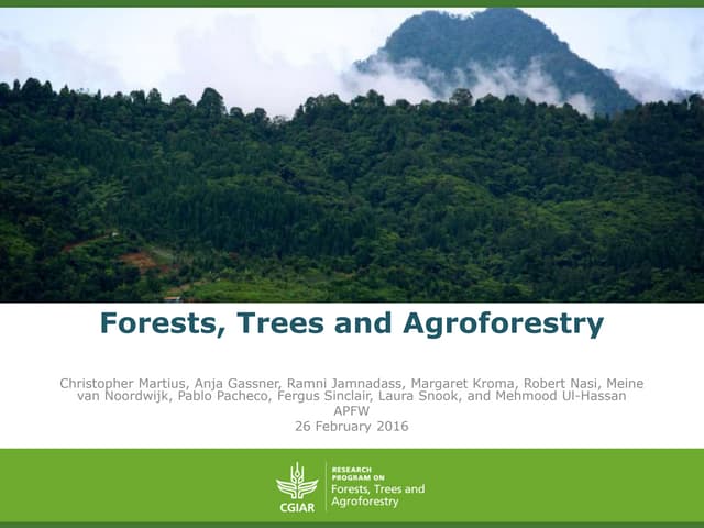 thumbnail of  Forests, Trees and Agroforestry
