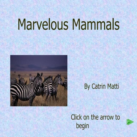 Marvelous Mammals