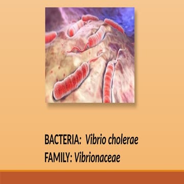 Biosafety and Biosecurity of Vibrio cholerae .pptx