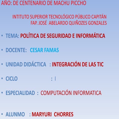 politica seguridad e informatica 