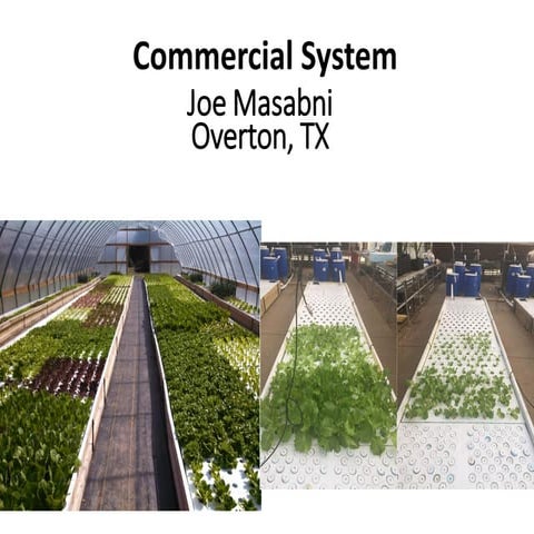 Commercial system by Dr. Joe Masabni 