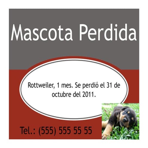 Mascotaperdida