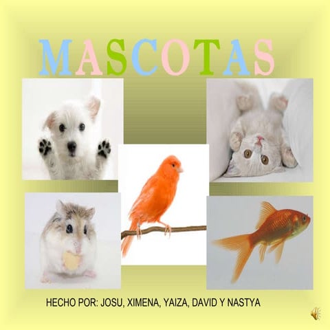 Mascotas