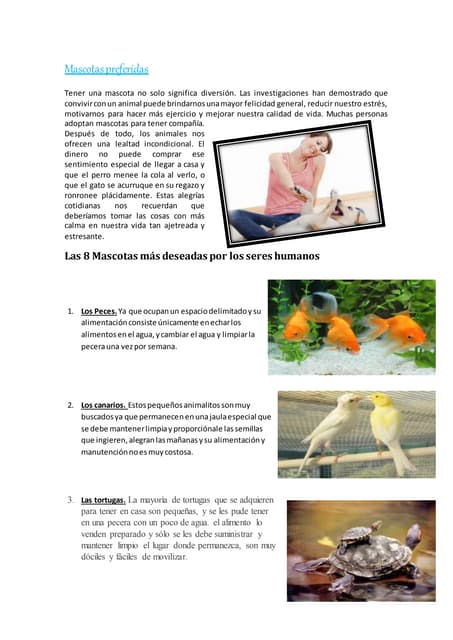 Mascotas preferidas.