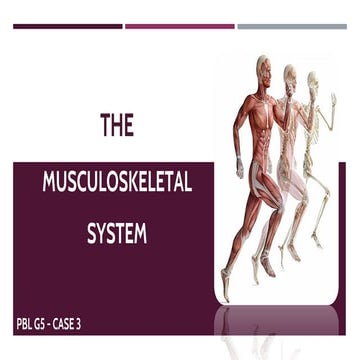 Mascular system