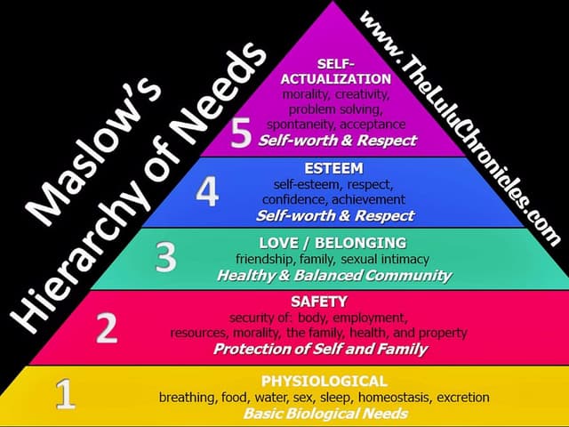 Maslows Physiological Needs PPT maslows-physiological-needs-ppt