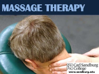 6 Information Everyone Should Know About Chiropractor